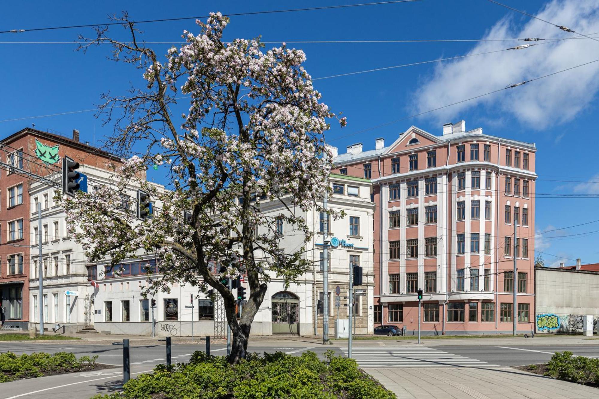 With Great Old Town Location Lägenhet Riga